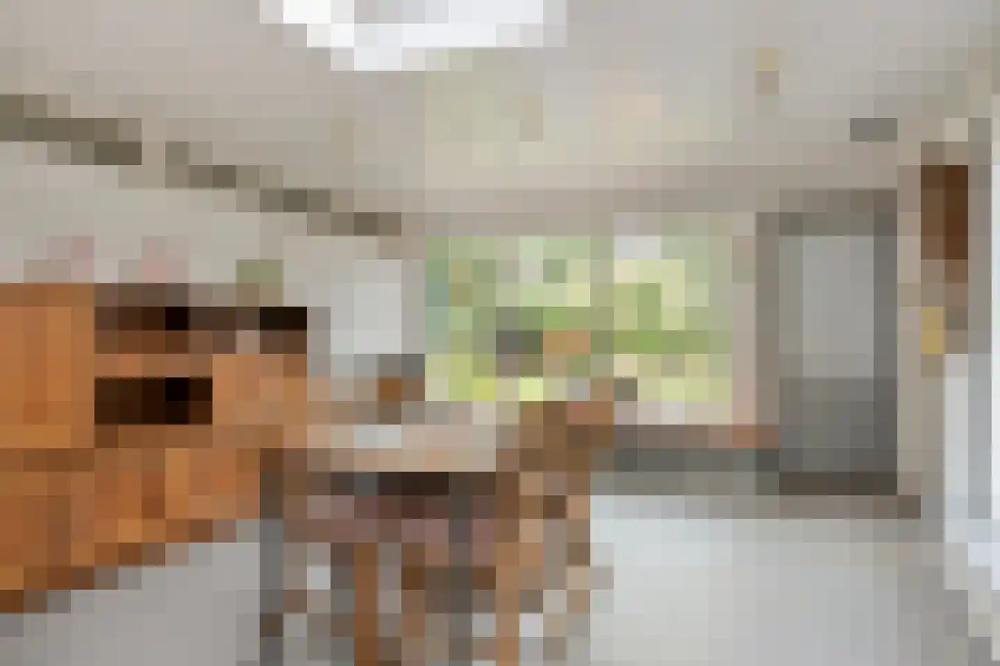 Kerkveld 28 Nistelrode thumbnail 27