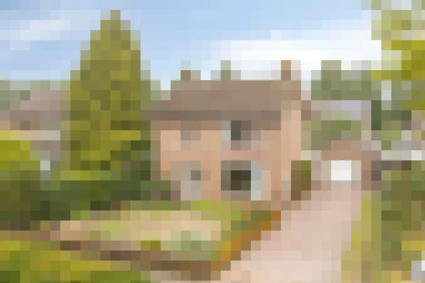 Kerkveld 28 Nistelrode thumbnail 44