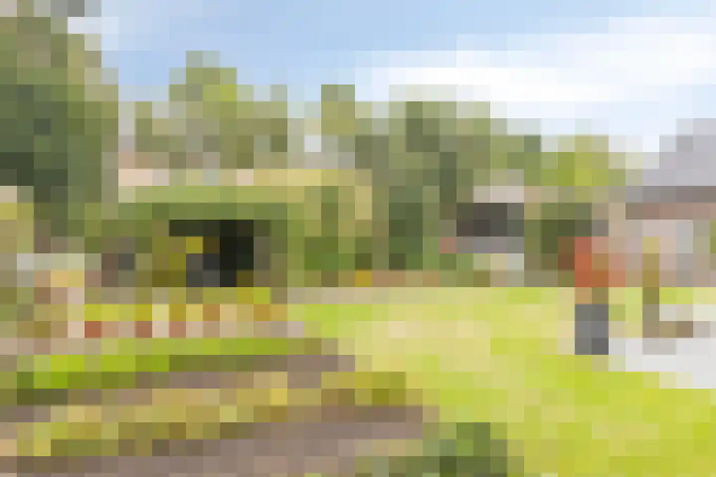 Kerkveld 28 Nistelrode thumbnail 5