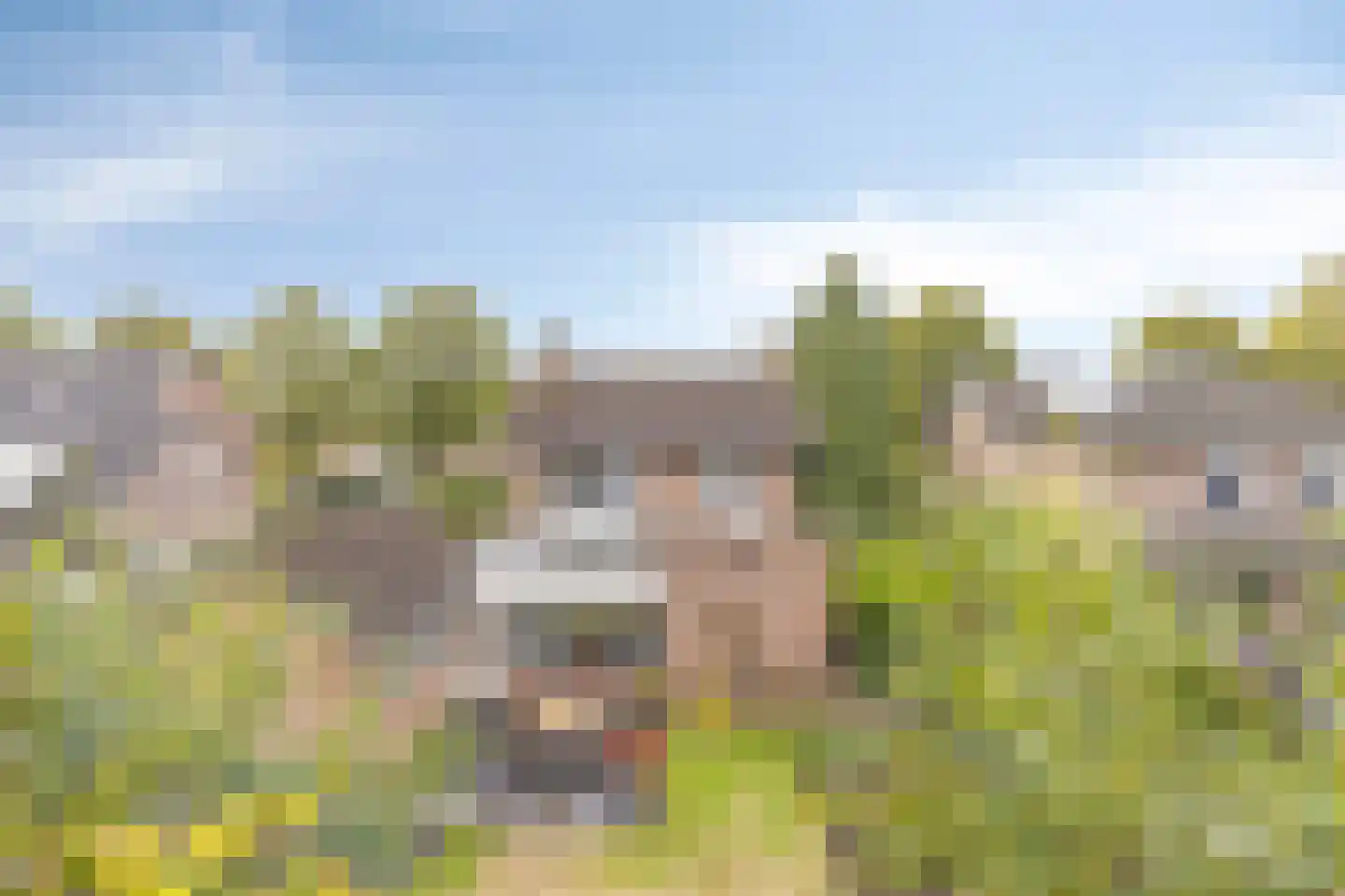 Kerkveld 28 Nistelrode thumbnail 6