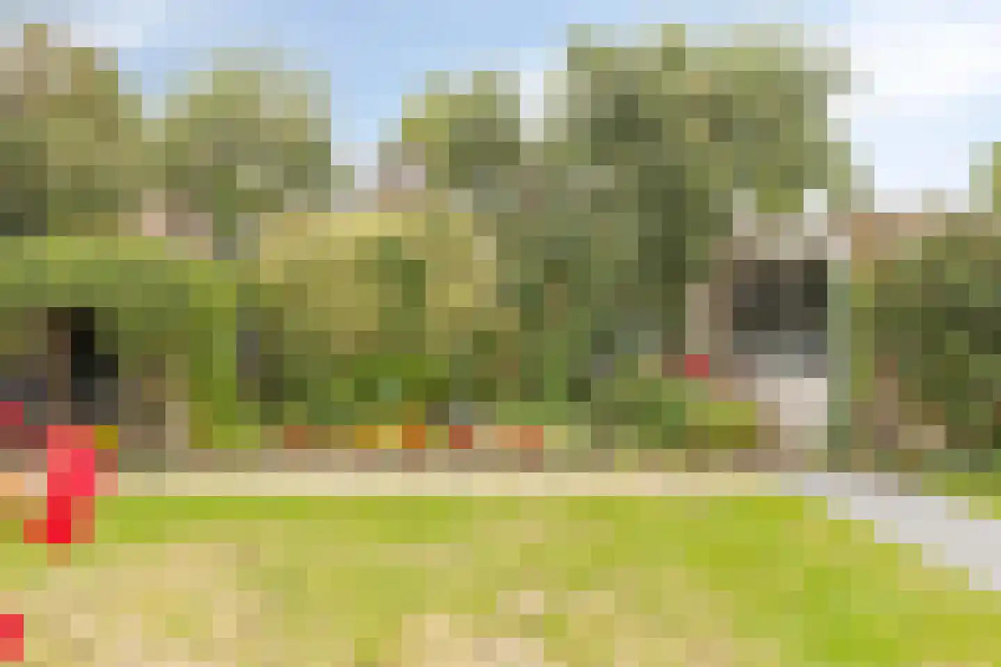 Kerkveld 28 Nistelrode thumbnail 7