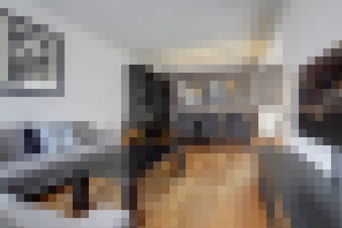 Kerkveld 4 Meijel thumbnail 14