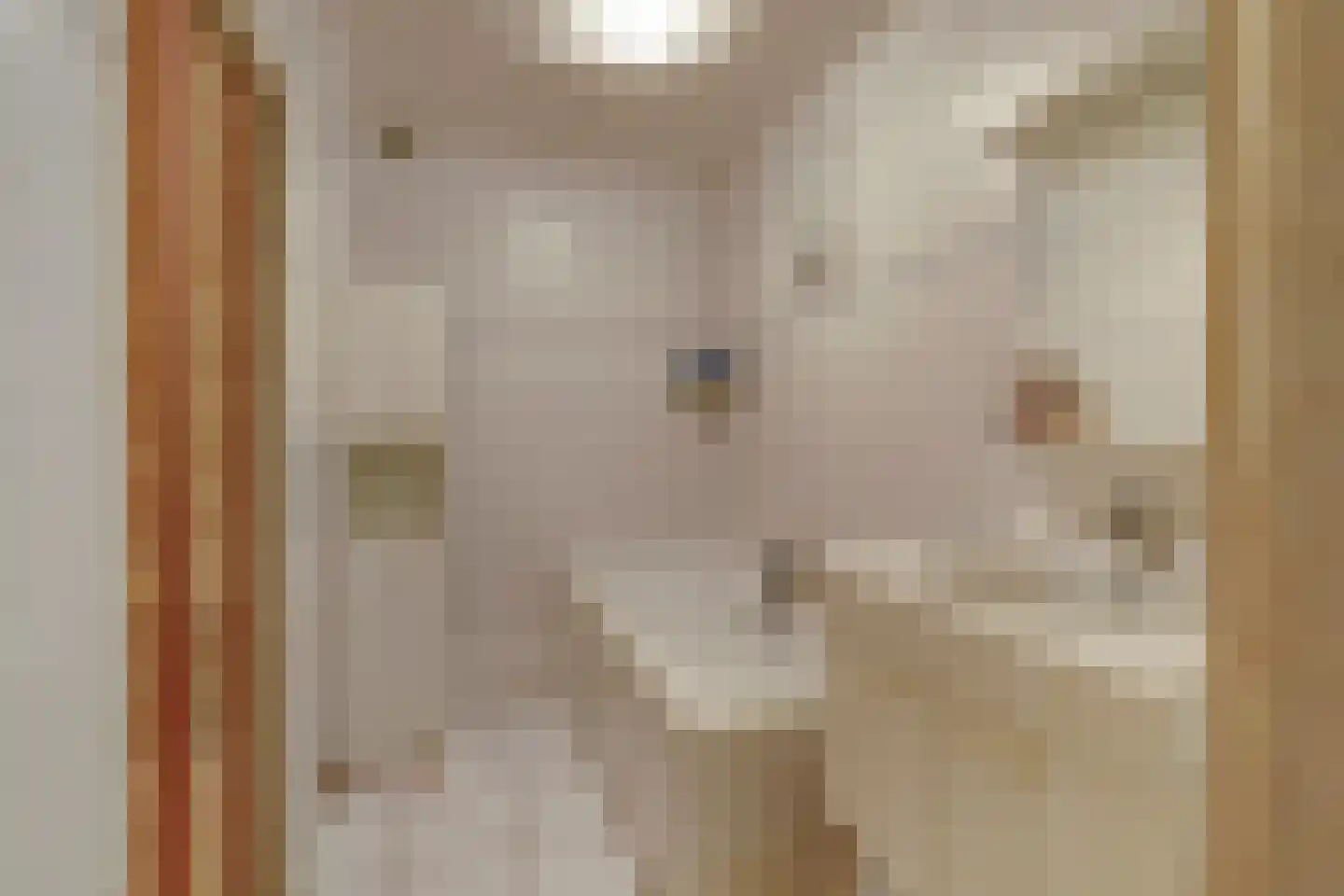Kerkveld 4 Meijel thumbnail 4