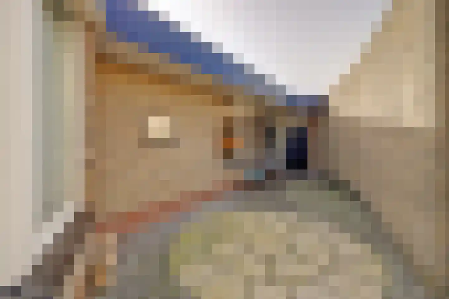 Kerkveld 4 Meijel thumbnail 6