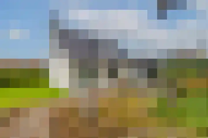 Kerkveld 4 Schimmert thumbnail 24