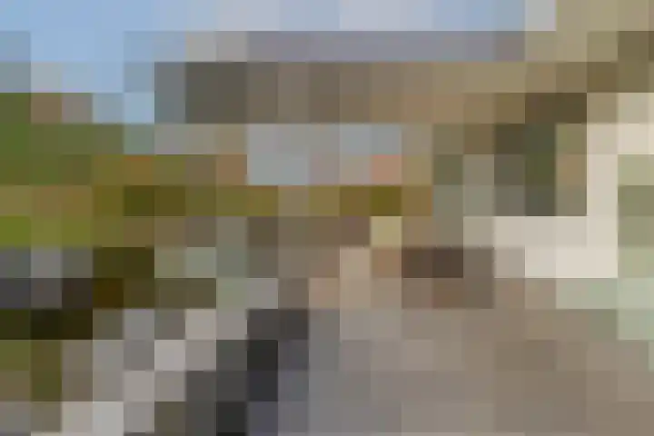 Kerkveld 4 Schimmert thumbnail 26