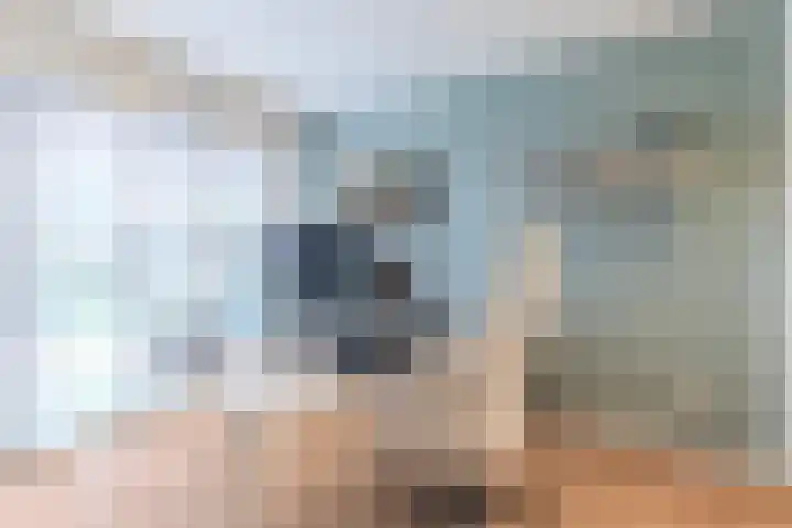 Kerkveld 4 Schimmert thumbnail 7