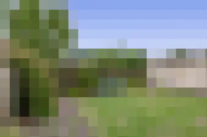 Kerkveld 40 Meijel thumbnail 46