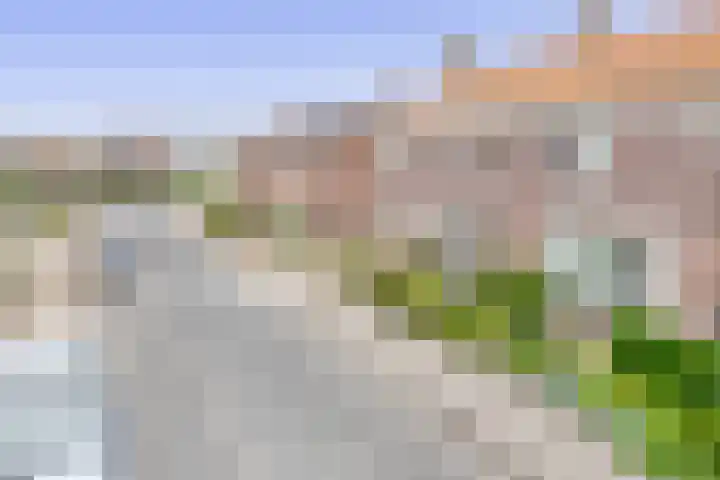 Kerkveld 40 Meijel thumbnail 49