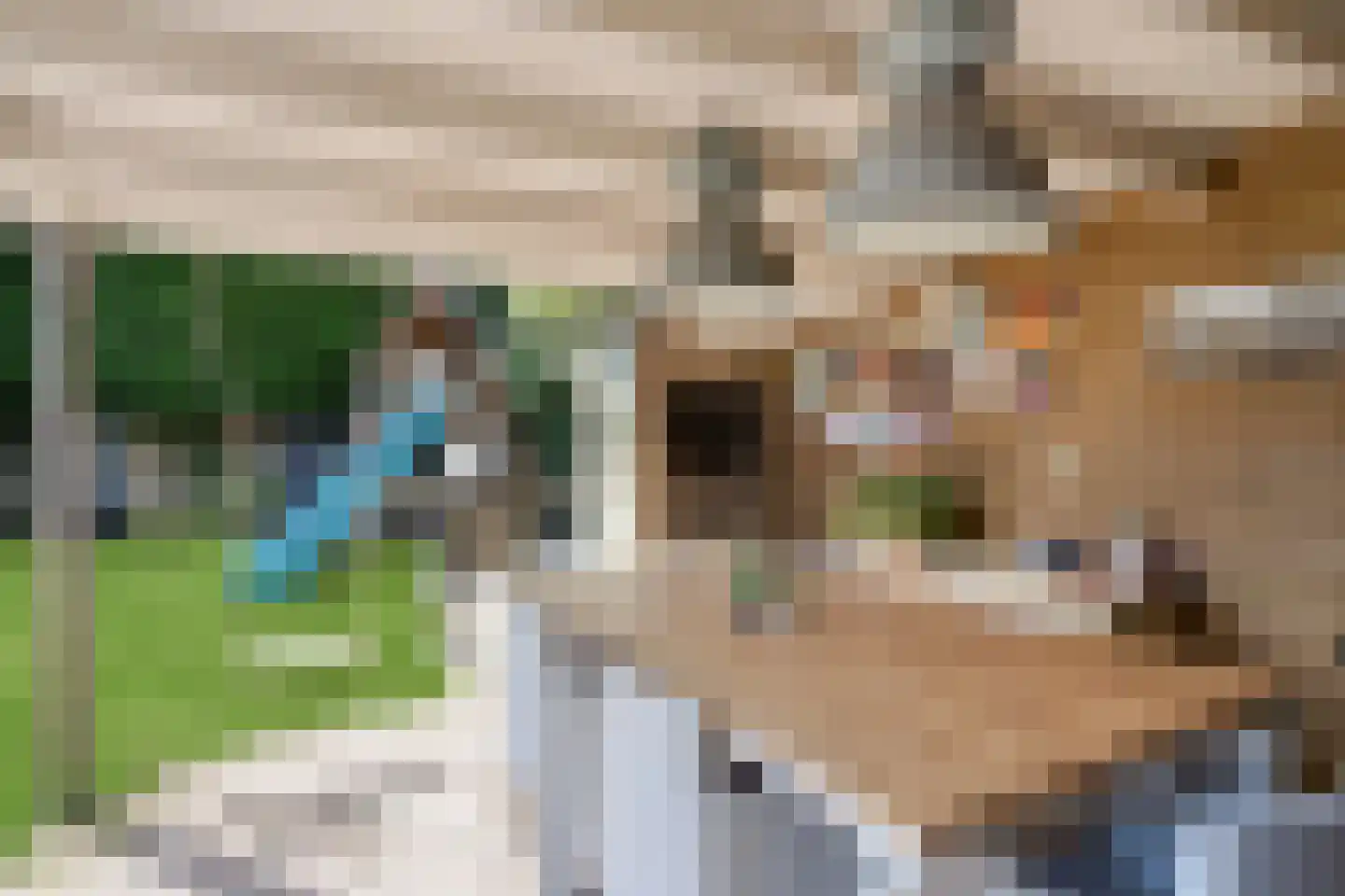Kerkveld 47 Nistelrode thumbnail 41