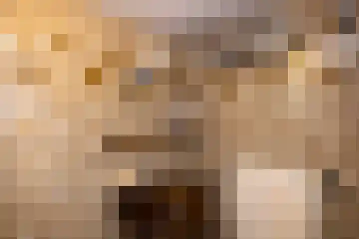 Kerkveld 54 Nistelrode thumbnail 20