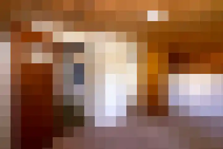 Kerkveld 54 Nistelrode thumbnail 23