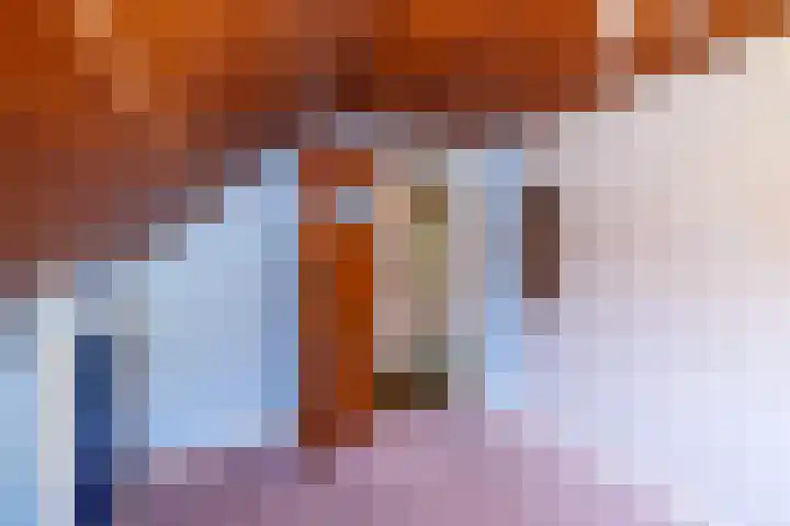Kerkveld 54 Nistelrode thumbnail 25
