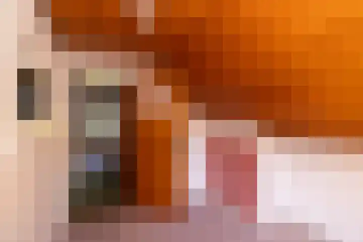 Kerkveld 54 Nistelrode thumbnail 26