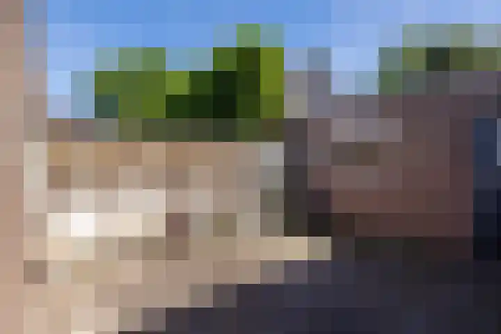 Kerkveld 54 Nistelrode thumbnail 28