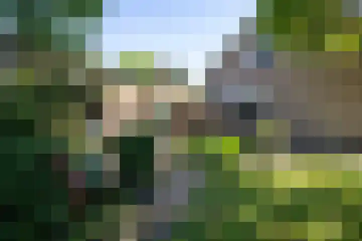 Kerkveld 54 Nistelrode thumbnail 29