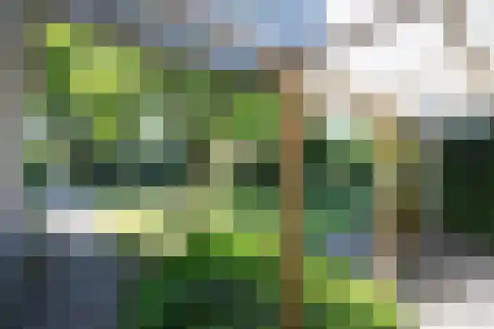 Kerkveld 54 Nistelrode thumbnail 31