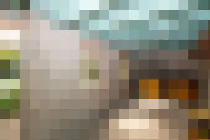 Kerkveld 54 Nistelrode thumbnail 32