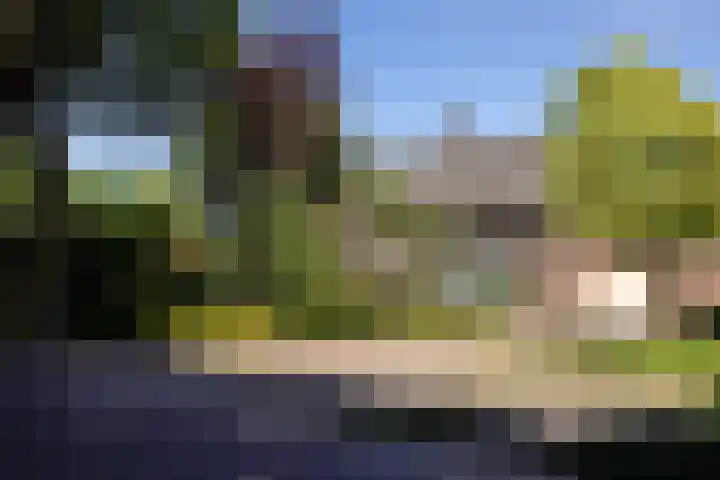 Kerkveld 54 Nistelrode thumbnail 33