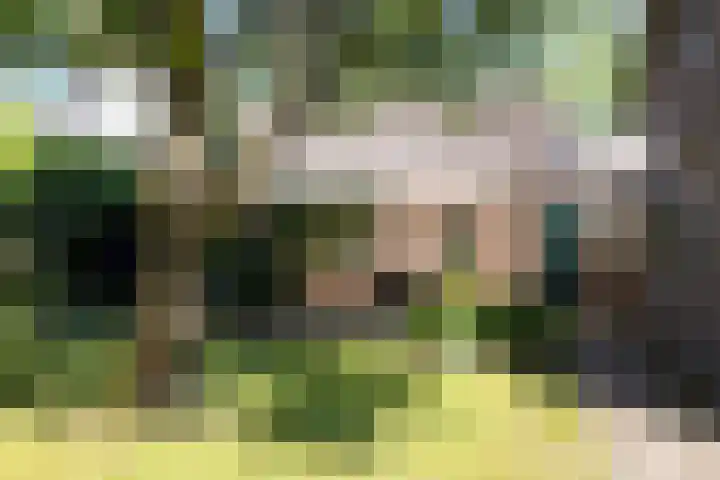 Kerkveld 54 Nistelrode thumbnail 34