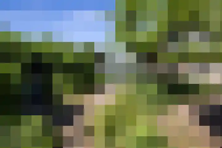 Kerkveld 54 Nistelrode thumbnail 36