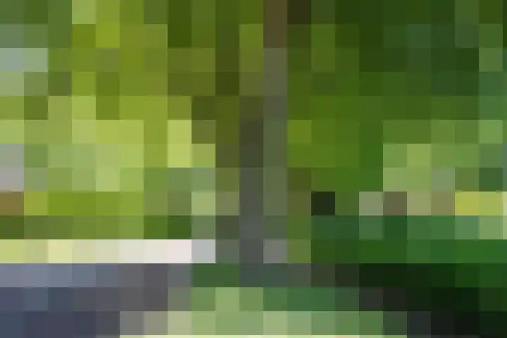 Kerkveld 54 Nistelrode thumbnail 38