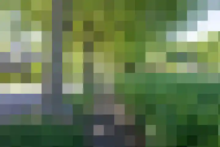 Kerkveld 54 Nistelrode thumbnail 39