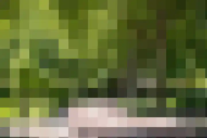 Kerkveld 54 Nistelrode thumbnail 40