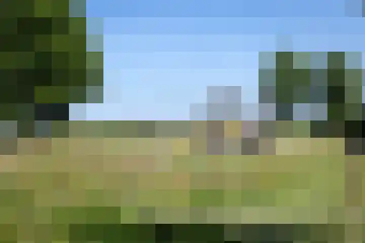 Kerkveld 54 Nistelrode thumbnail 41