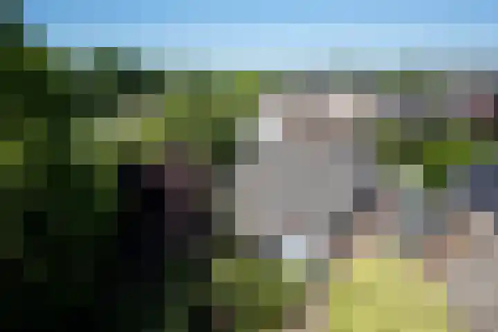 Kerkveld 54 Nistelrode thumbnail 42