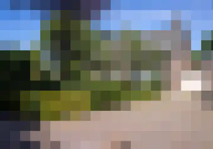Kerkveld 54 Nistelrode thumbnail 46