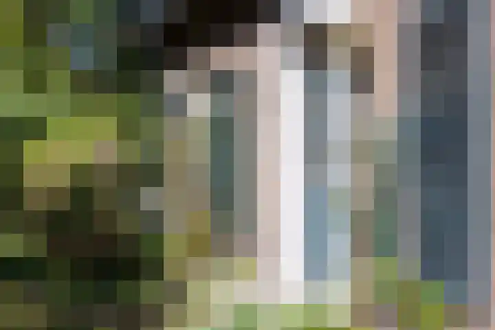 Kerkveld 54 Nistelrode thumbnail 5