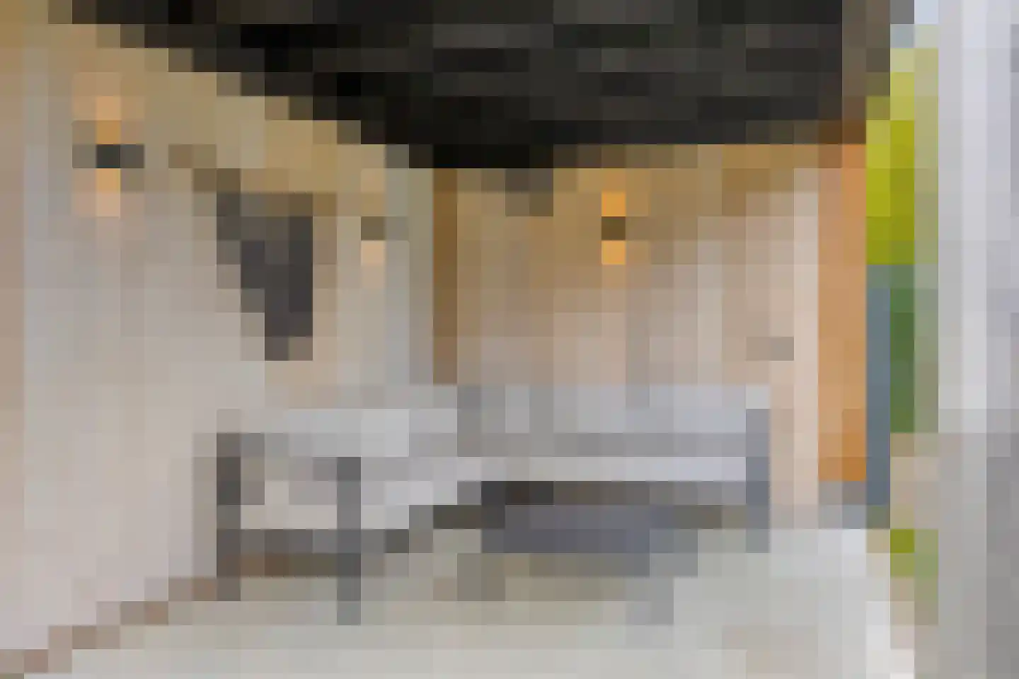 Kerkveld 59 Nistelrode thumbnail 34