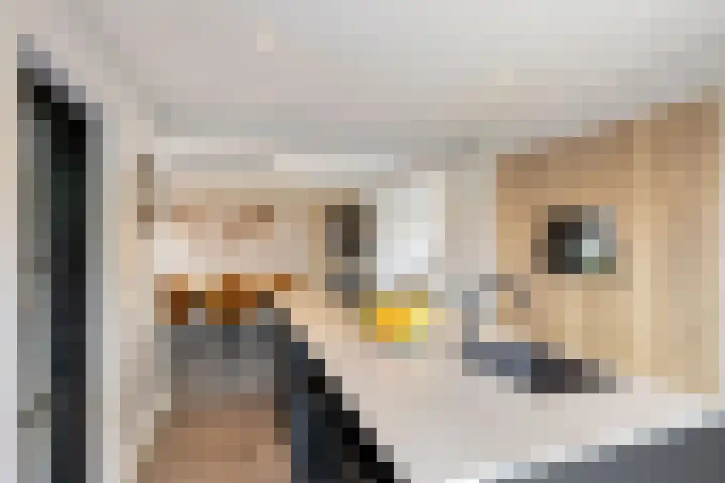 Kerkveld 59 Nistelrode thumbnail 6