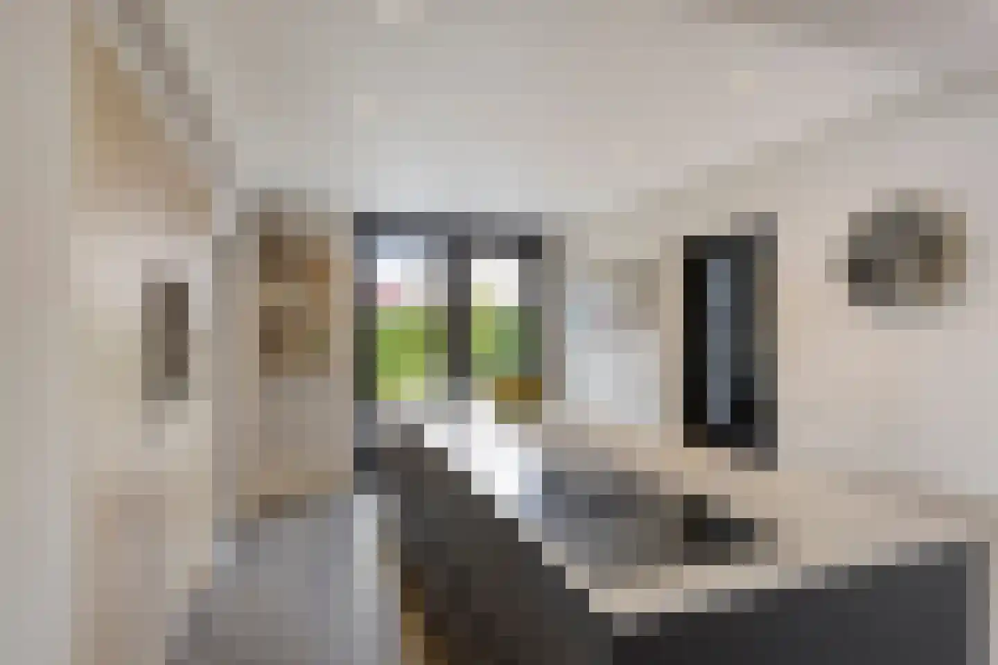 Kerkveld 59 Nistelrode thumbnail 7