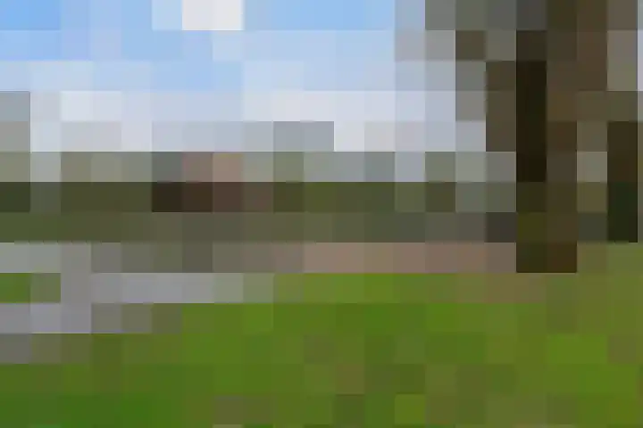 Kerkveld 63 9 Nieuwegein thumbnail 31