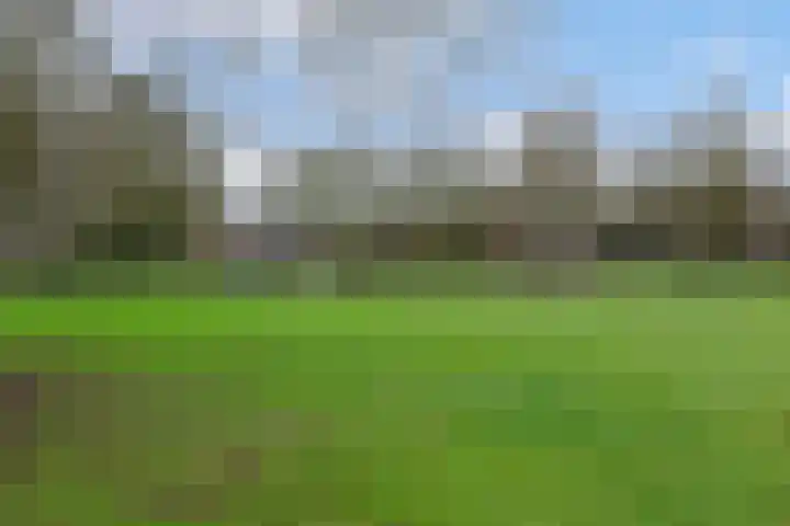 Kerkveld 63 9 Nieuwegein thumbnail 33