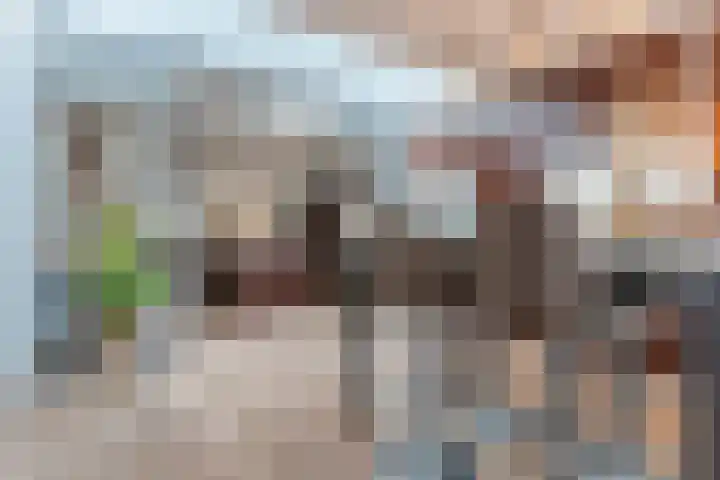 Kerkveld 65 Nistelrode thumbnail 20