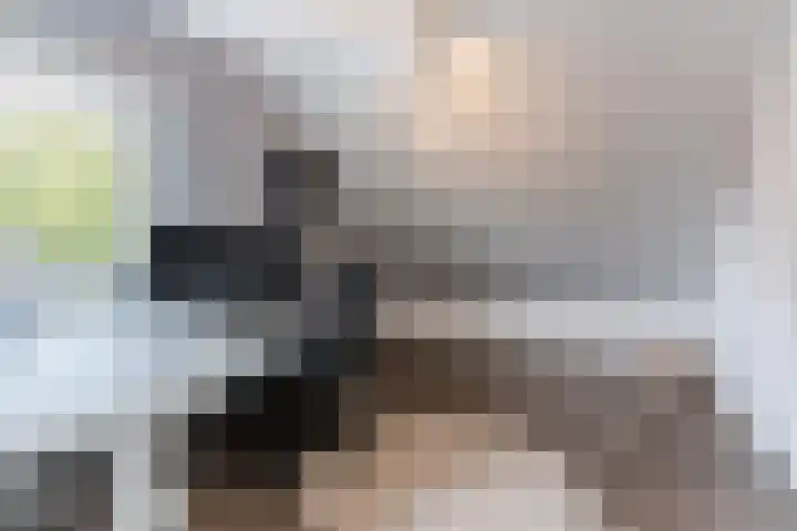 Kerkveld 65 Nistelrode thumbnail 37