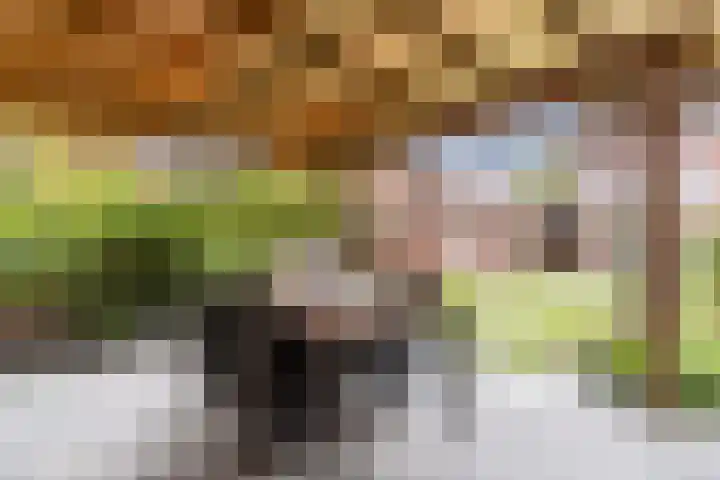 Kerkveld 65 Nistelrode thumbnail 4