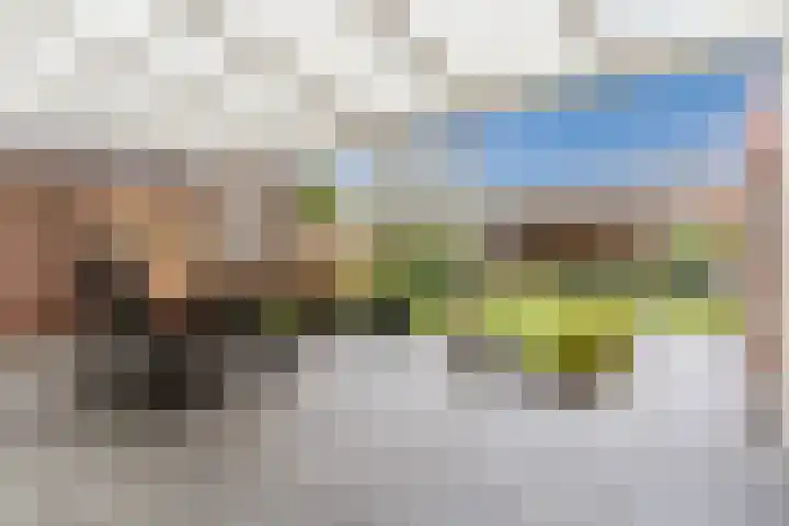 Kerkveld 65 Nistelrode thumbnail 48