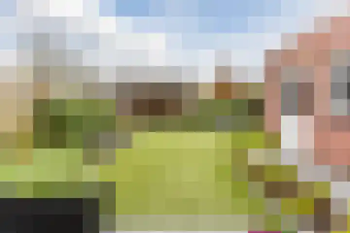 Kerkveld 65 Nistelrode thumbnail 49