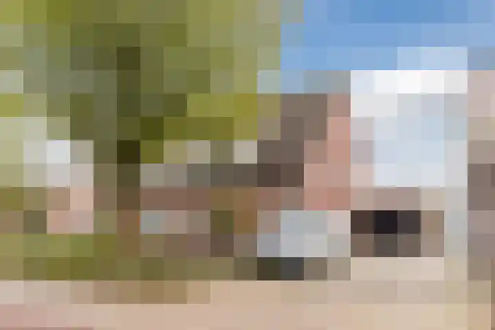 Kerkveld 65 Nistelrode thumbnail 5