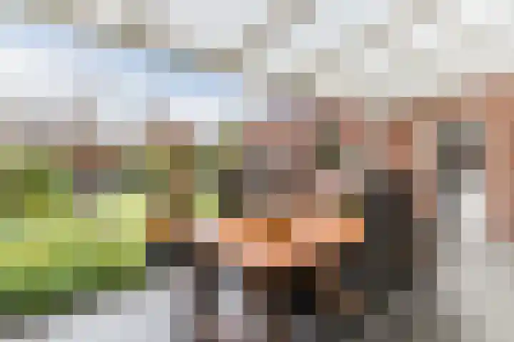Kerkveld 65 Nistelrode thumbnail 50