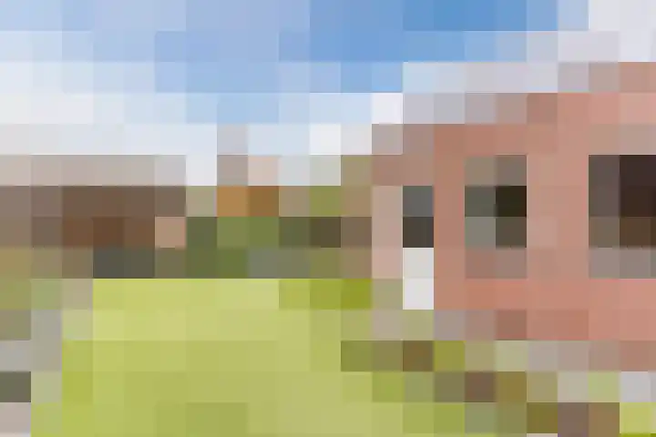Kerkveld 65 Nistelrode thumbnail 51