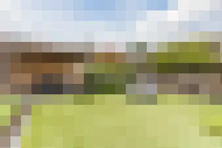 Kerkveld 65 Nistelrode thumbnail 52