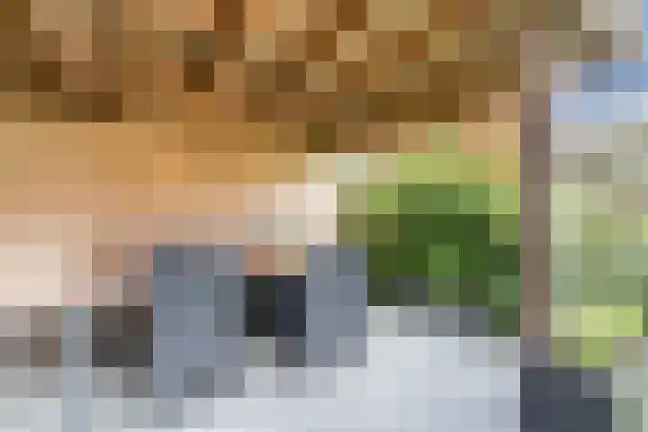 Kerkveld 65 Nistelrode thumbnail 53
