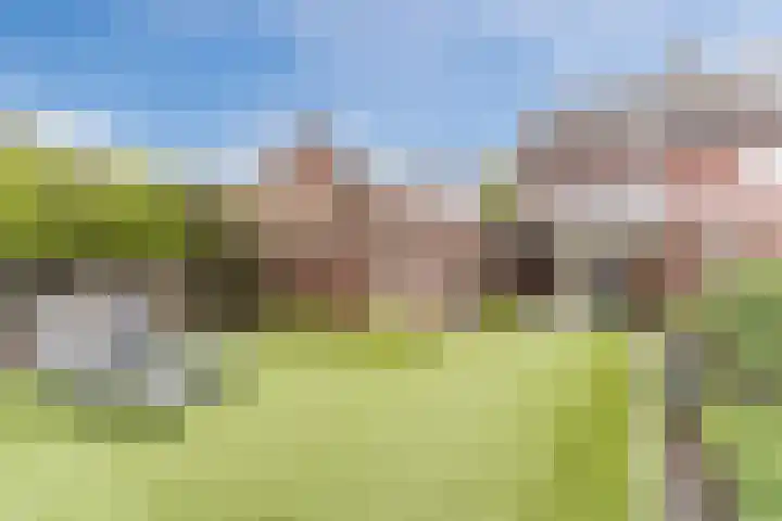 Kerkveld 65 Nistelrode thumbnail 54