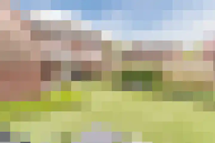 Kerkveld 65 Nistelrode thumbnail 55