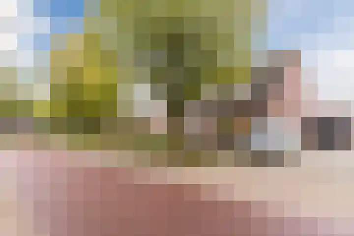 Kerkveld 65 Nistelrode thumbnail 59